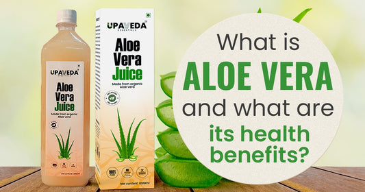 What is Aloe Vera, and What Are Its Health Benefits?