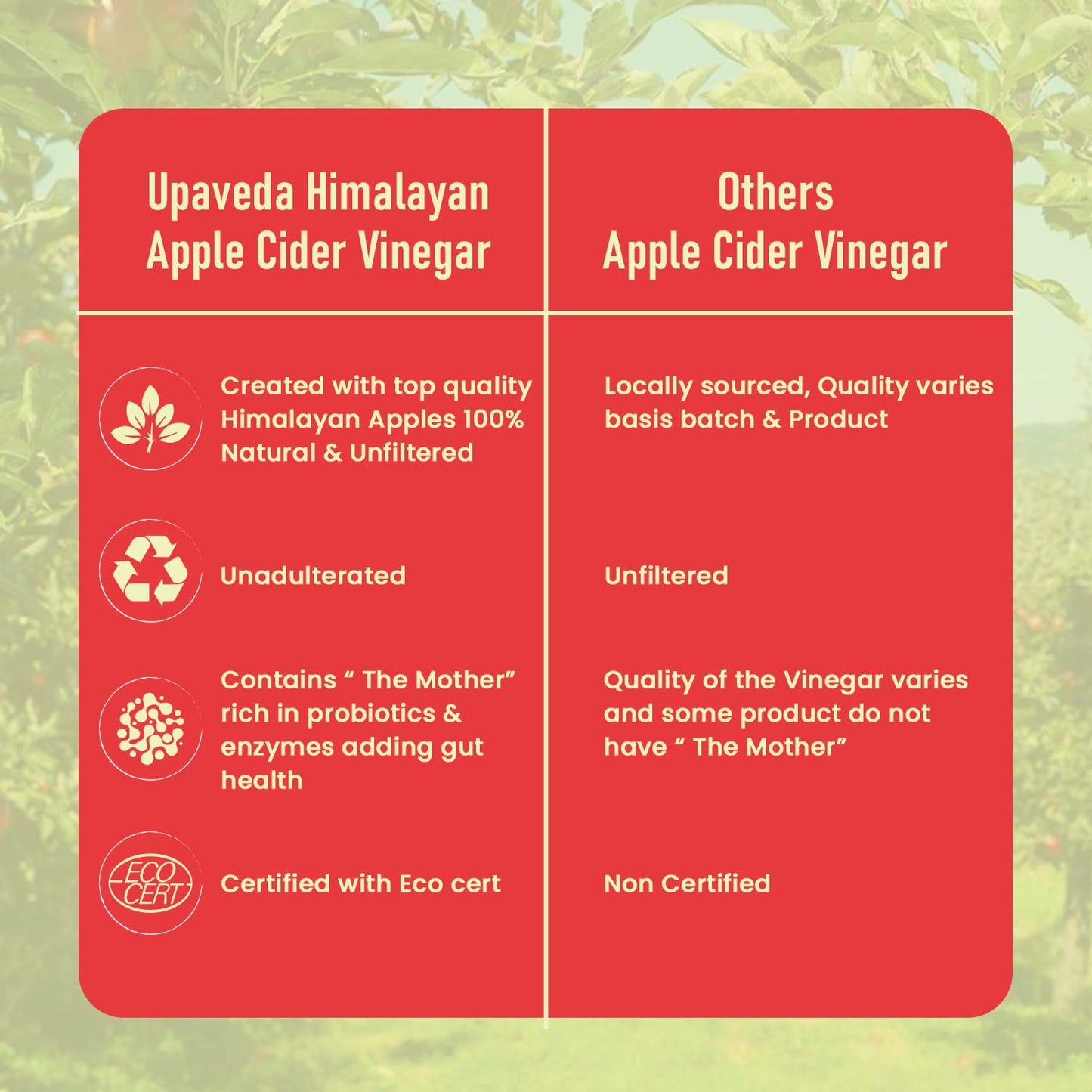 Upaveda Organic Apple Cider Vinegar 100ml